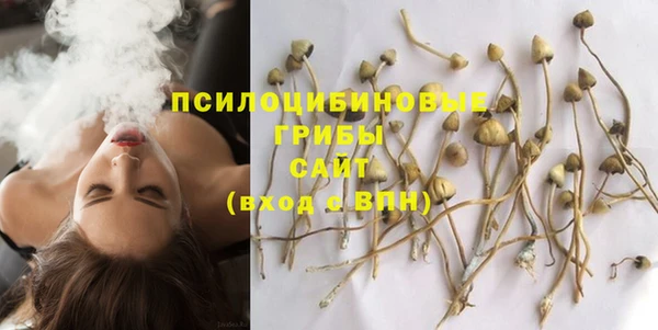 сатива Алексин