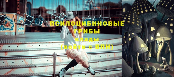 винт Алзамай