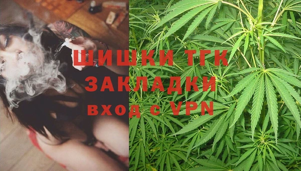 сатива Алексин