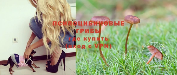 винт Алзамай