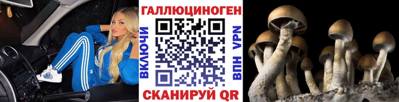 купить   Тавда  MEGA ONION  Псилоцибиновые грибы ЛСД 